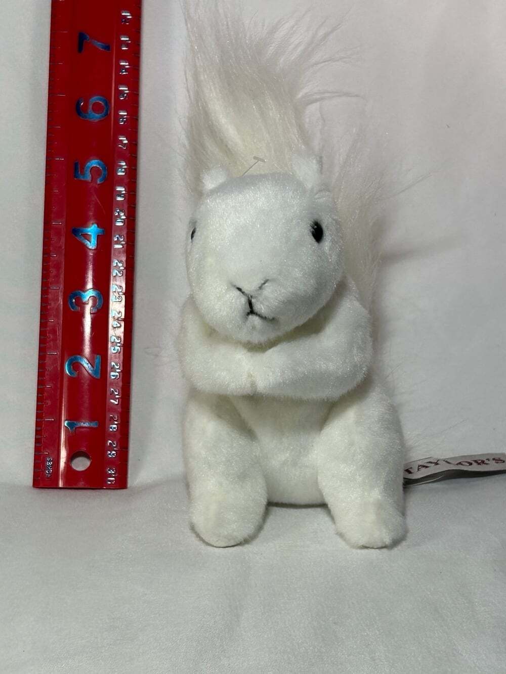 Douglas White Squirrel Plush Stuffed Animal O.P. Taylor’s Albinism cutie